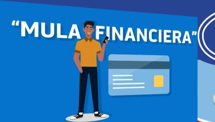 “Mulas financieras”: la nueva estrategia del crimen internacional en El Salvador Bandas criminales reclutan a salvadoreños para lavar dinero y mover millones mediante cuentas bancarias locales, convirtiéndolos en “mulas financieras”.