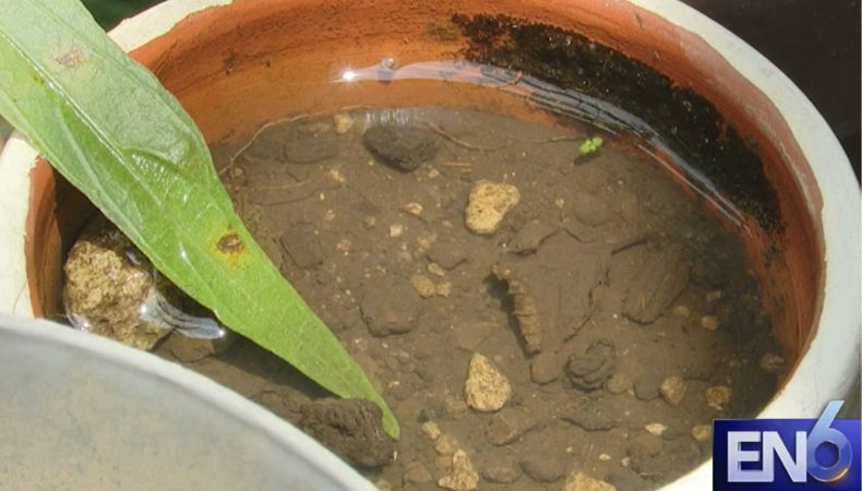 El objetivo de estas medidas es reducir al máximo los criaderos de zancudos y evitar el incremento de casos de dengue.