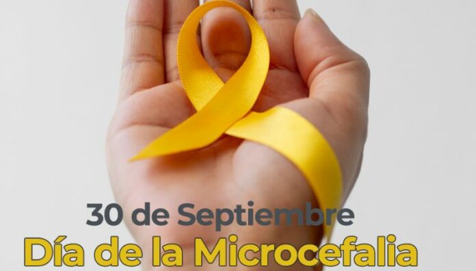 El amor familiar inspira esperanza frente la microcefalia La organización “Amor sin medidas” promovió la inclusión en el marco del Día Internacional de la Concientización sobre la Microcefalia.