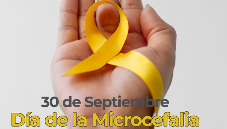 La organización “Amor sin medidas” promovió la inclusión en el marco del Día Internacional de la Concientización sobre la Microcefalia.