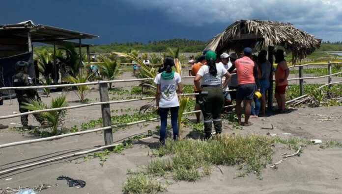 Localizan cuerpo de joven desaparecido en Garita Palmera El joven había sido reportado como desaparecido el pasado 29 de septiembre, luego de que su lancha volcara frente a la playa Garita Palmera.