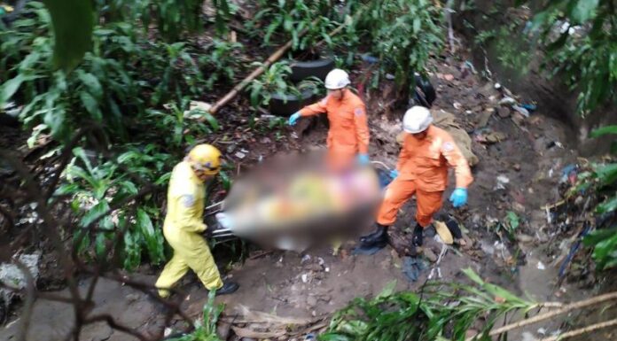 Una adulta mayor falleció tras caer de 10 metros de altura, el hecho ocurrió en la colonia San Miguel, distrito de Mejicanos, en San Salvador Centro.