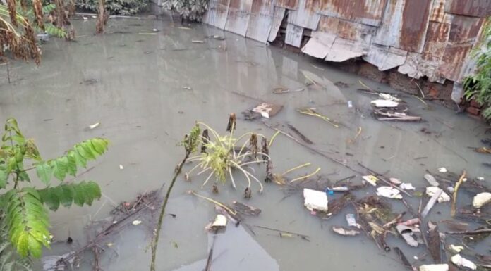 Los habitantes del condominio La Dalia, ubicado en San Salvador Centro, están siendo afectados por una bóveda obstruida que ha provocado inundaciones en varias viviendas.