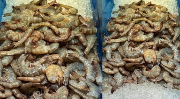 La veda de camarón, vigente del 1 de octubre al 14 de noviembre, ha generado una disminución en las ventas y un aumento en los gastos de pescadores y comerciantes del Puerto de La Libertad.