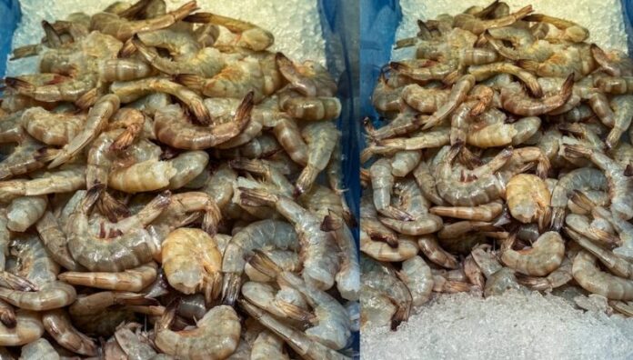 Veda de camarón afecta a pescadores y comerciantes La veda de camarón, vigente del 1 de octubre al 14 de noviembre, ha generado una disminución en las ventas y un aumento en los gastos de pescadores y comerciantes del Puerto de La Libertad.