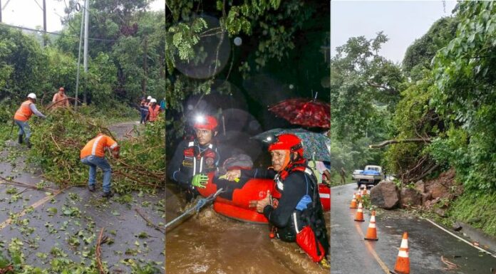 Las lluvias de las últimas horas provocaron derrumbes, árboles caídos y otras afectaciones en Panchimalco, La Unión y San Miguel.