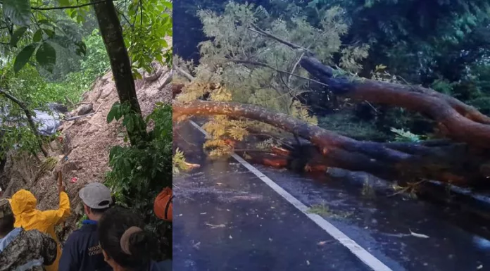 Las lluvias de las últimas horas han generado derrumbes y caída de árboles en San Salvador, La Libertad y Santa Ana.