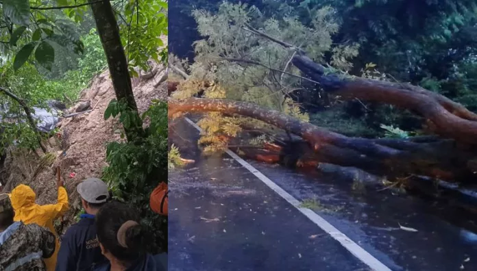 Las lluvias de las últimas horas han generado derrumbes y caída de árboles en San Salvador, La Libertad y Santa Ana. Las lluvias de las últimas horas han generado derrumbes y caída de árboles en San Salvador, La Libertad y Santa Ana.