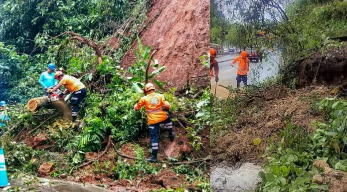 Protección Civil presentó un balance de las emergencias atendidas en las últimas 24 horas por las lluvias y dio a conocer las condiciones climáticas esperadas para los próximos días.