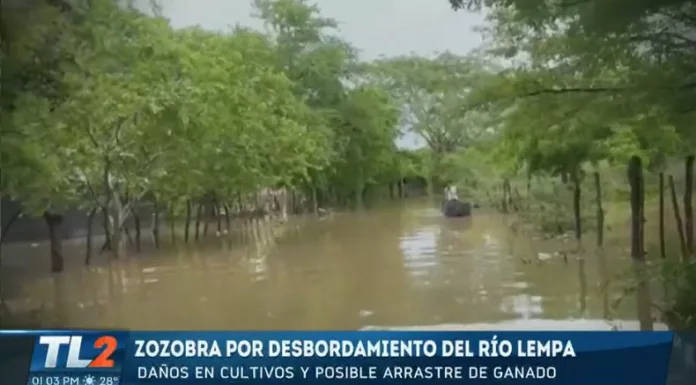 Cientos de familias pierden cultivos, ganado y caminos cada invierno en el Bajo Lempa.