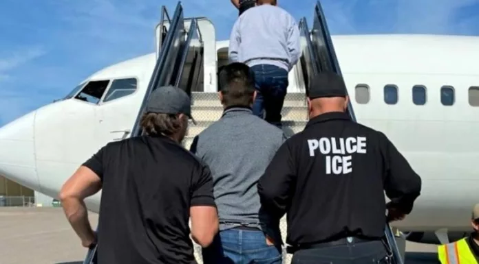 Cada semana, salvadoreños deportados regresan al país dejando sus bienes y proyectos en el extranjero.