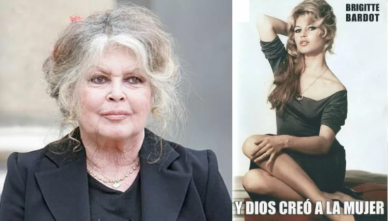 Brigitte Bardot es hospitalizada y su estado de salud es preocupante La estrella francesa de “Y Dios creó a la mujer” fue internada en un hospital de Toulon. Su estado es delicado y permanece bajo observación.