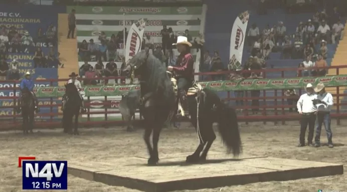 Los espectáculos ecuestres atraen todas las miradas gracias a la sincronía entre jinetes y caballos, donde cada paso refleja disciplina y conexión.