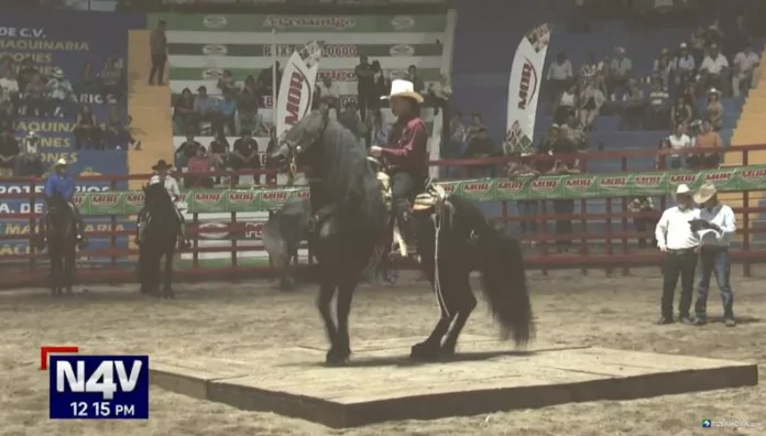 Caballos que transforman cada galope en un verdadero espectáculo Los espectáculos ecuestres atraen todas las miradas gracias a la sincronía entre jinetes y caballos, donde cada paso refleja disciplina y conexión.