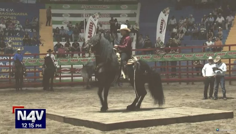 Los espectáculos ecuestres atraen todas las miradas gracias a la sincronía entre jinetes y caballos, donde cada paso refleja disciplina y conexión.