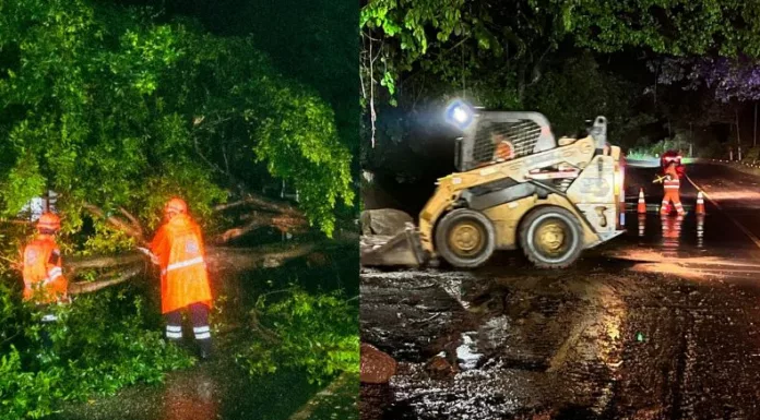 s últimas horas provocaron diversas emergencias en el país, principalmente caídas de árboles y derrumbes.