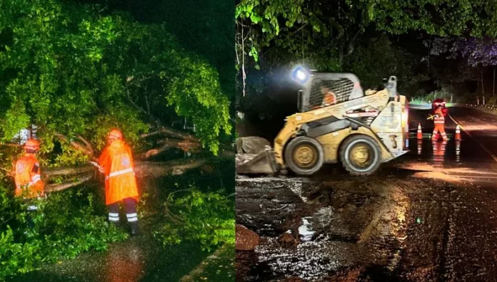 Derrumbes y caída de árboles entre las principales emergencias registradas por lluvias s últimas horas provocaron diversas emergencias en el país, principalmente caídas de árboles y derrumbes.