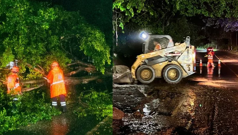 s últimas horas provocaron diversas emergencias en el país, principalmente caídas de árboles y derrumbes.