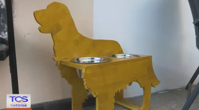 Una pareja de esposos creó “Cocopets”, un emprendimiento familiar dedicado a fabricar muebles y casas personalizadas para perros y gatos, adaptadas al tamaño, raza y estilo de cada mascota.