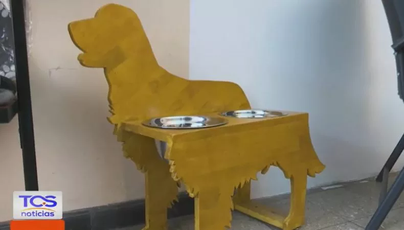 «Cocopets»: muebles hechos con amor para consentir a las mascotas