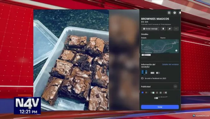 Drogas en alimentos horneados los efectos que tardan, pero golpean más fuerte Expertos advierten que consumir drogas a través de alimentos horneados puede provocar efectos más fuertes y peligrosos.