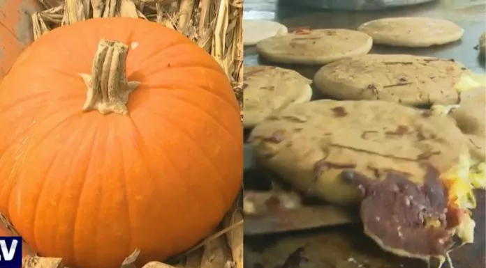 En San Juan Opico, la creatividad culinaria florece con el otoño: una pupusa elaborada con calabaza que deleita a turistas nacionales y extranjeros.