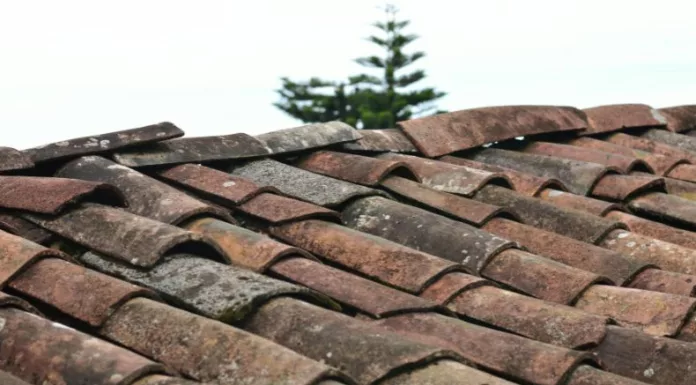Ante el incremento de vientos, cuerpos de socorro advierten a la población no colocar objetos en los techos debido al peligro que representan.