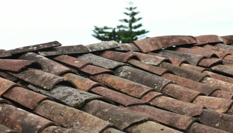 Ante el incremento de vientos, cuerpos de socorro advierten a la población no colocar objetos en los techos debido al peligro que representan.