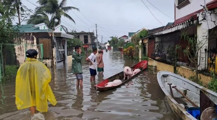 El supertifón Fung-wong azotó la costa este de Filipinas, causando dos fallecidos y más de un millón de evacuados por lluvias y fuertes vientos.