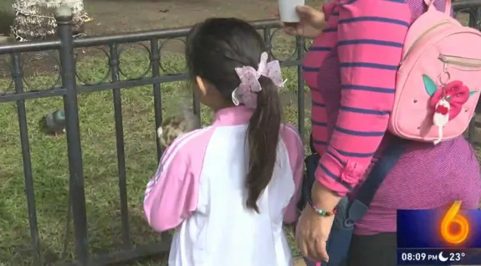 Personas con obligación de cuota alimenticia deben entregar el 30% de su aguinaldo como apoyo adicional para gastos de fin de año.