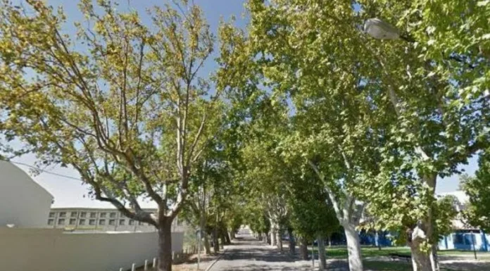 El distrito de Santa Isabel Ishuatán en Sonsonate Este, registró las ráfagas de viento más fuertes del país con una velocidad máxima de 53.7 km/h, según el MARN.