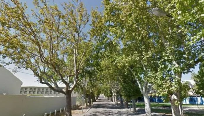 Ishuatán registró las ráfagas de viento más fuertes del país, según el MARN El distrito de Santa Isabel Ishuatán en Sonsonate Este, registró las ráfagas de viento más fuertes del país con una velocidad máxima de 53.7 km/h, según el MARN.