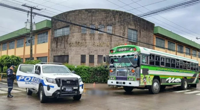 Una mujer murió esta mañana tras ser atropellada por un autobús cuando intentaba cruzar en una zona peatonal de Santa Tecla.