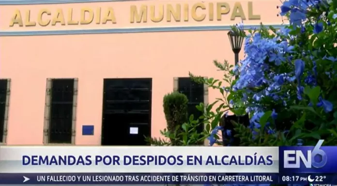 La Sala de lo Constitucional avaló que empleados municipales puedan demandar a funcionarios por despidos ilegales que vulneren derechos fundamentales.