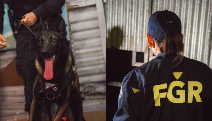 Desarticulan estructura vinculada al tráfico de drogas en San Salvador La Fiscalía y la PNC llevaron a cabo un operativo para desarticular una estructura vinculada a la distribución de drogas en San Salvador.