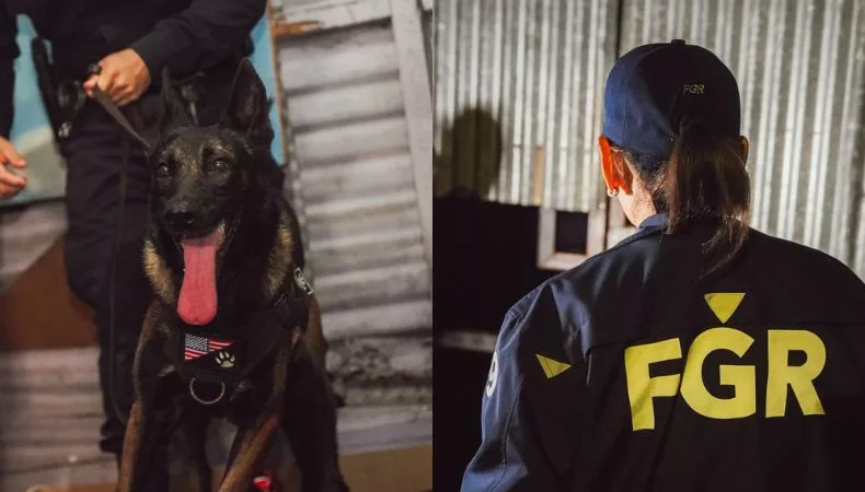 La Fiscalía y la PNC llevaron a cabo un operativo para desarticular una estructura vinculada a la distribución de drogas en San Salvador.