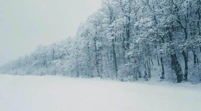 Las autoridades advirtieron sobre una tormenta de nieve y fuertes ráfagas de viento en el estado de Montana, Estados Unidos.