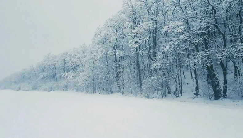 Las autoridades advirtieron sobre una tormenta de nieve y fuertes ráfagas de viento en el estado de Montana, Estados Unidos.