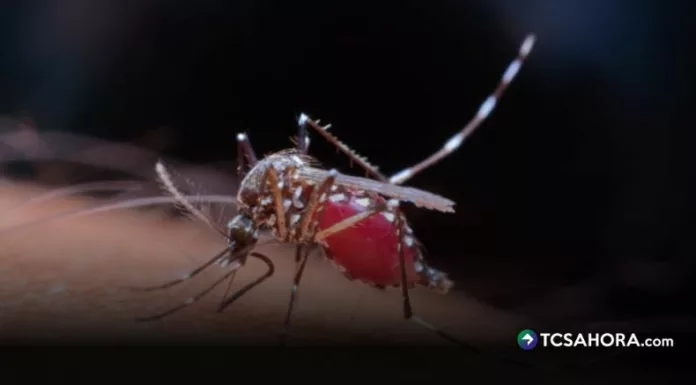 El Ministerio de Salud confirmó 107 casos de malaria entre 310 salvadoreños que regresaron de la República Democrática del Congo.