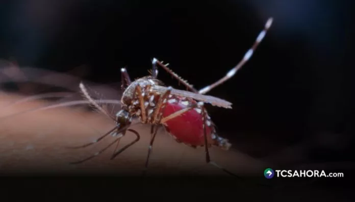 MINSAL confirma 107 casos importados de malaria, sin propagación local El Ministerio de Salud confirmó 107 casos de malaria entre 310 salvadoreños que regresaron de la República Democrática del Congo.