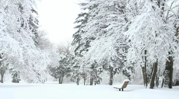Según los pronósticos, la tormenta invernal podría dejar más de 30 centímetros de nieve en unos 40 estados de la nación norteamericana.