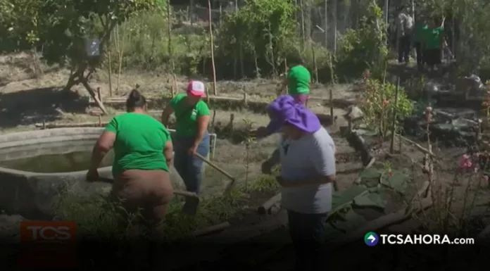 En el distrito Santa Cruz Michapa, un grupo de mujeres ha encontrado en la agricultura una forma de mejorar su alimentación y fortalecer la economía familiar.