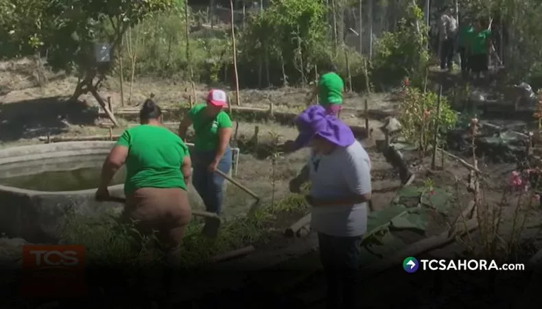 En el distrito Santa Cruz Michapa, un grupo de mujeres ha encontrado en la agricultura una forma de mejorar su alimentación y fortalecer la economía familiar.
