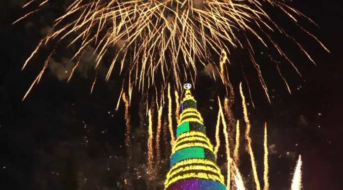 Miles de salvadoreños se reunieron el sábado 29 para acompañar el encendido del árbol de 50 metros y más de medio millón de luces. Hubo música, un show de drones, juegos artificiales y un ambiente que marcó el inicio de la temporada navideña en la capital.