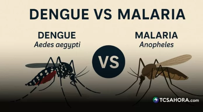 Aunque sus síntomas se parecen a los del dengue, la malaria se transmite por un mosquito diferente y sus síntomas pueden tardar más en aparecer.