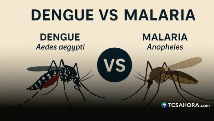 ¿Malaria o dengue Conozca las señales que las distinguen Aunque sus síntomas se parecen a los del dengue, la malaria se transmite por un mosquito diferente y sus síntomas pueden tardar más en aparecer.