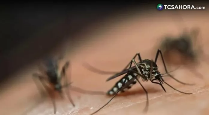 Las autoridades sanitarias de Cuba registraron más de 1,000 nuevos casos de dengue y chikungunya en un solo día.