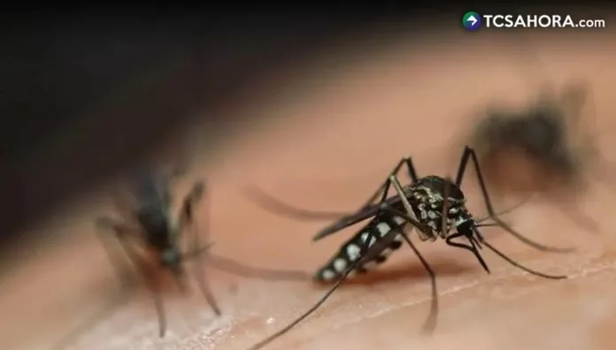 Cuba reporta más de 1,000 nuevos casos de dengue y chikungunya en un solo día Las autoridades sanitarias de Cuba registraron más de 1,000 nuevos casos de dengue y chikungunya en un solo día.