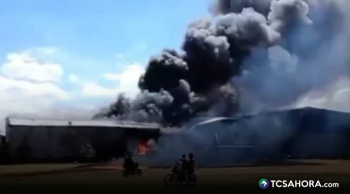 La avioneta se dirigía al aeropuerto de Toluca tras despegar del Aeropuerto de Acapulco, cuando se precipitó a tierra.