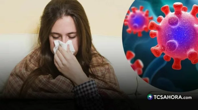 La influenza A (H3N2), subclado K, fue identificada recientemente en varios países. En El Salvador, médicos siguen de cerca su evolución.
